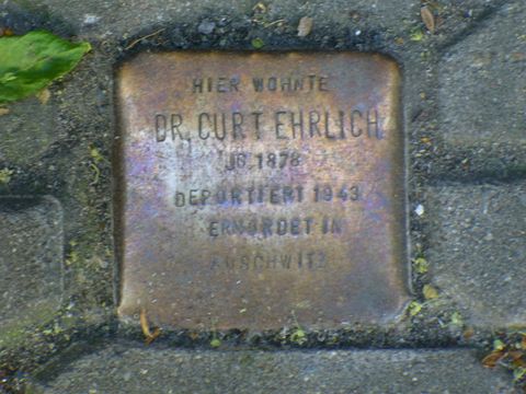 Stolperstein Dr. Curt Ehrlich