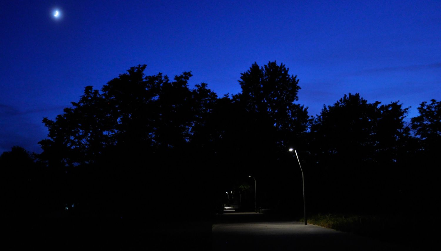 Die Aufnahme zeigt einen beleuchteten Parkweg bei Nacht. Am dunkelblauen Himmel steht klein der Mond. Vor den schwarzen Silhouetten ausladender Baumkronen erhellen Laternen punktuell den Gehweg. Ihr Licht fällt kegelförmig auf den Betonboden, in den Abständen zwischen den Laternen ist es dunkel. 