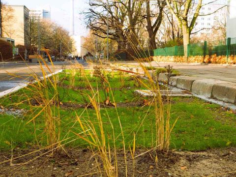 Raum für Regen_Grüner Gully Singerstr.