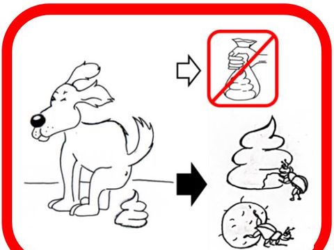 (Bild: Caroline Maik)