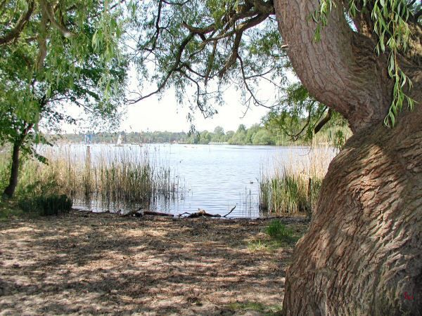 Badebucht an der Havel