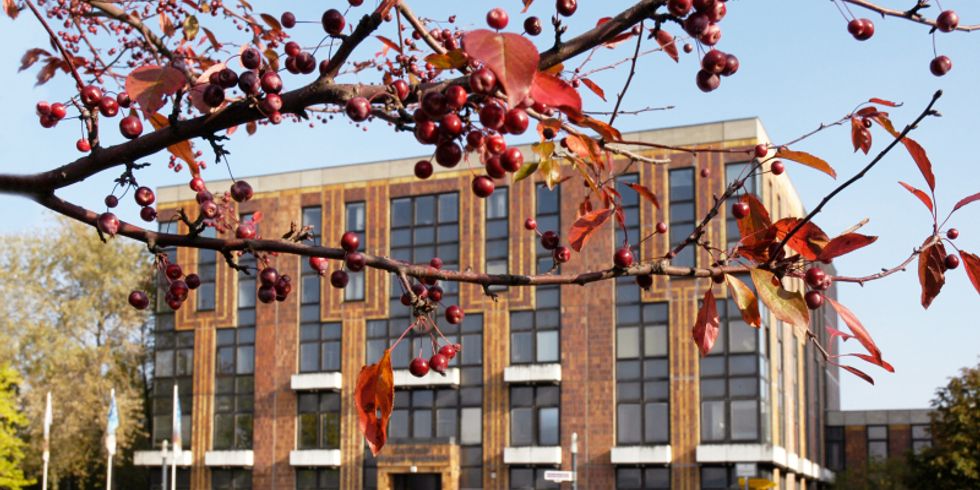 Altes Rathaus am Helene-Weigel-Platz 8