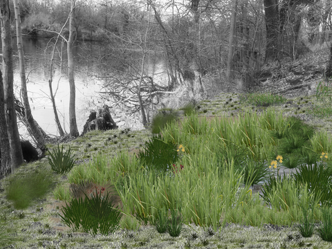 Plötzensee - Böschung - Maßnahme_2