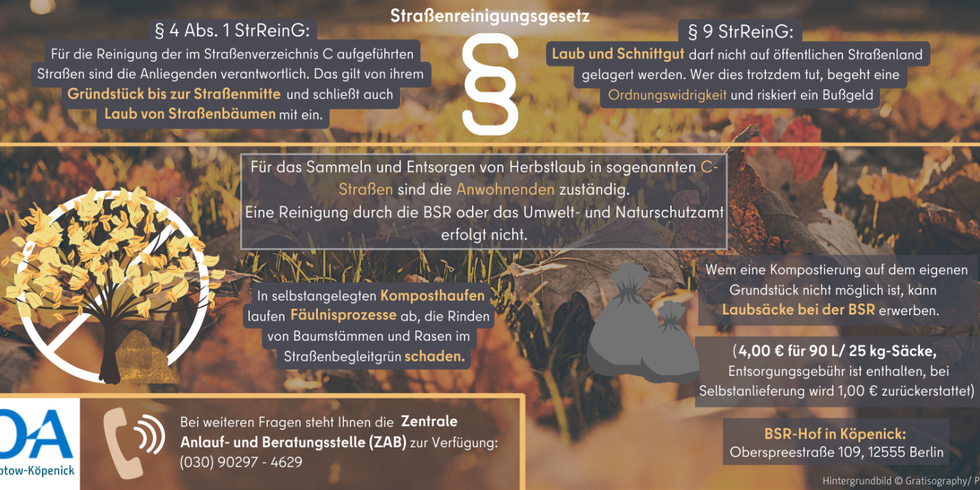 Informationen zum Herbstlaub