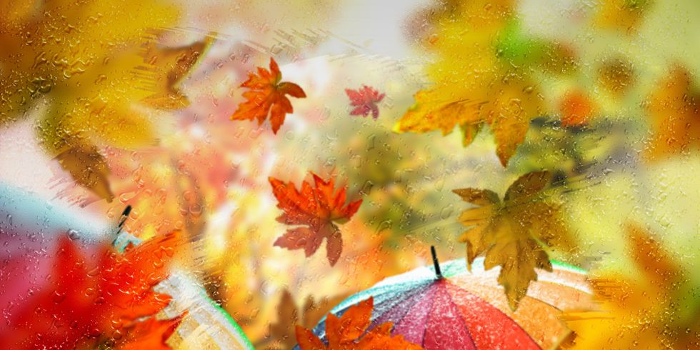 Herbst