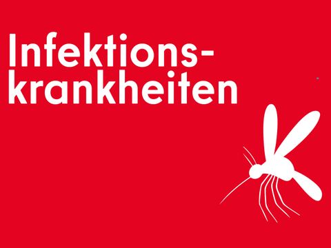 Infektionskrankheiten und eine Mücke