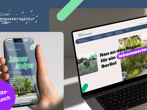 Collage der Regenwasseragentur