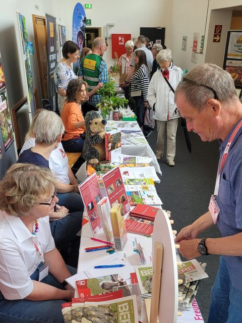 Über 500 interessierte Besucherinnen und Besucher fanden den Weg ins Ernst-Reuter-Foyer. (Bild: BA Reinickendorf)