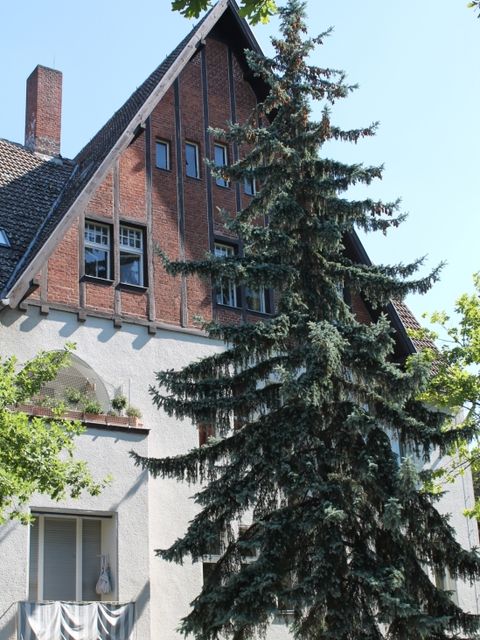 Eichenallee 15