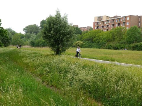 Bullengrabengrünzug mit Blick auf die Louise-Schroeder-Siedlung