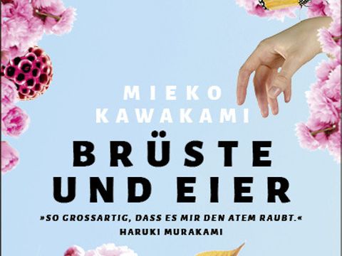 Coverbild des Romans "Brüste und Eier"