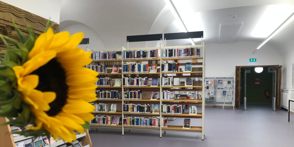 Blick in die Heinrich-Schulz-Bibliothek.