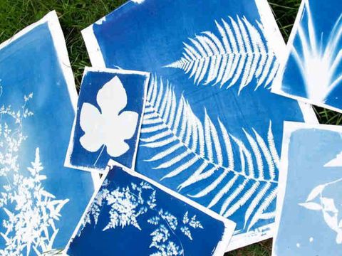 Sommerferienangebot Kitas