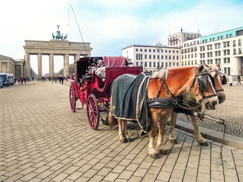 Pferdekutsche steht auf dem Pariser Platz vor dem Brandenburger Tor