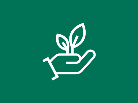 Icon International Service