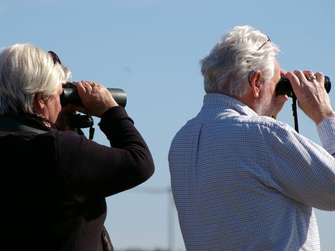 zwei ältere Personen schauen mithilfe von Ferngläsern in die Ferne