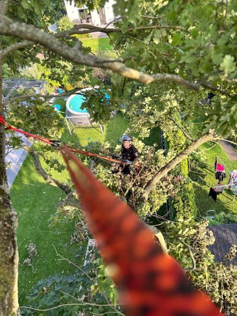 Seiltechniker der Polizei im Einsatz (Bild: BA Reinickendorf)