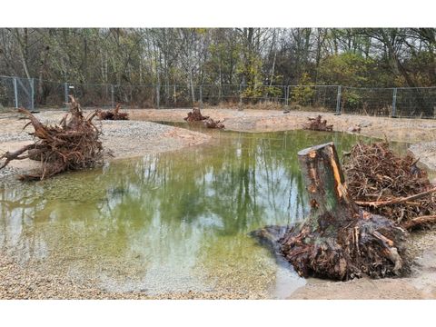 Projektsteckbrief-Neues Kleingewässer in der Wuhlheide