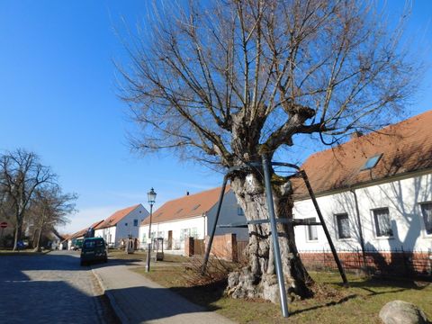  (Bild: BA Treptow-Köpenick)