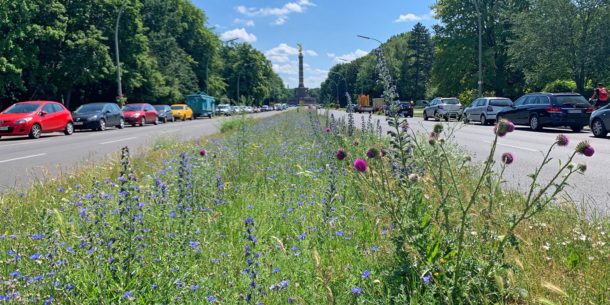 Ein langer Blühstreifen verläuft von der Bildmitte Richtung Horizont, im Fluchtpunkt die Siegessäule vor blauem Himmel. Im Blühstreifen wachsen neben Gräsern Pflanzen mit blauen Blüten, wie Kornblume und Natternkopf. Am rechten Bildrand ragt eine Distel mit lilafarbenen Blüten auf. Links und rechts verläuft eine zweispurige Straße mit parkenden Autos, dahinter Straßenlaternen und hohe Bäume.