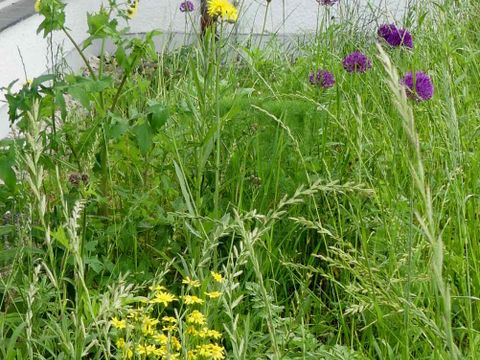 (Bild: Bibliothek Tiergarten-Süd)