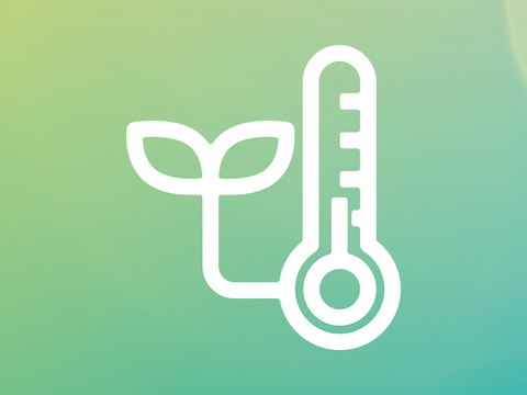 Grundlagen und Analysen: Biomasse
