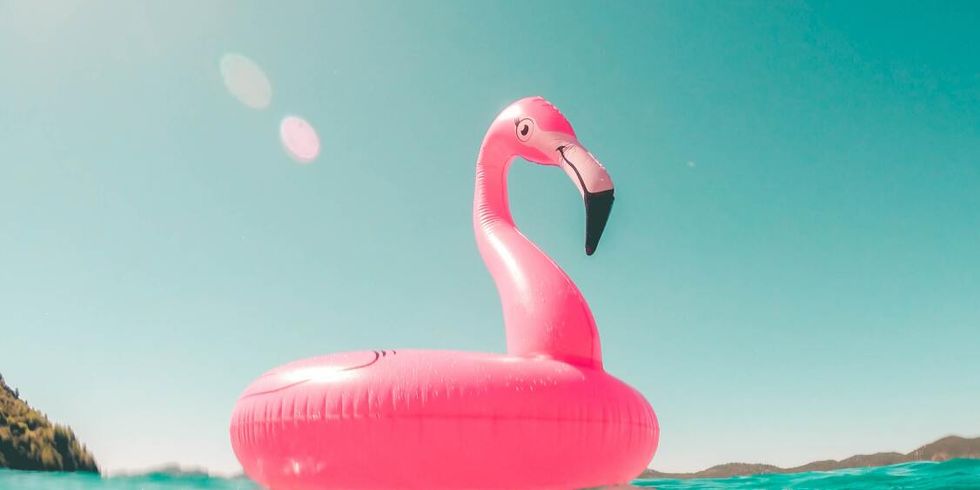 Rosa Flamingo-Schwimmtier auf Wasser