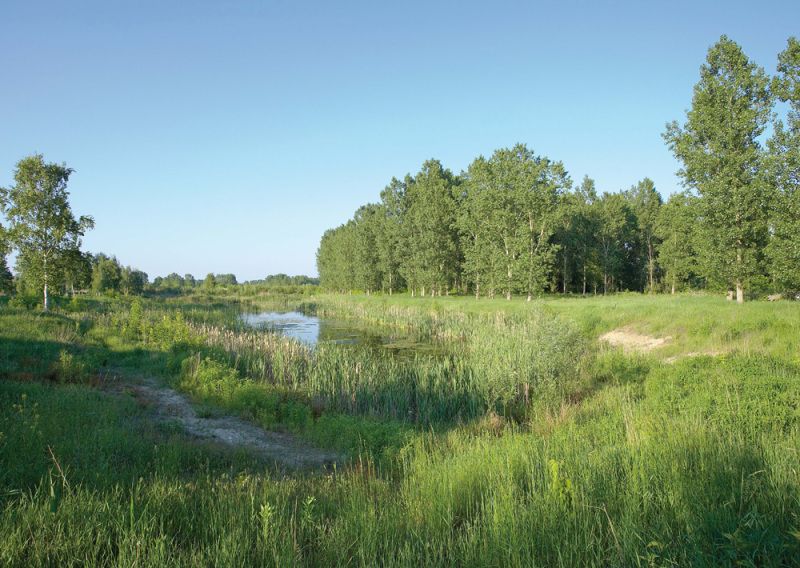 Rieselfeldlandschaft im Ortsteil Hobrechtsfelde (Bild: Josef Vorholt)
