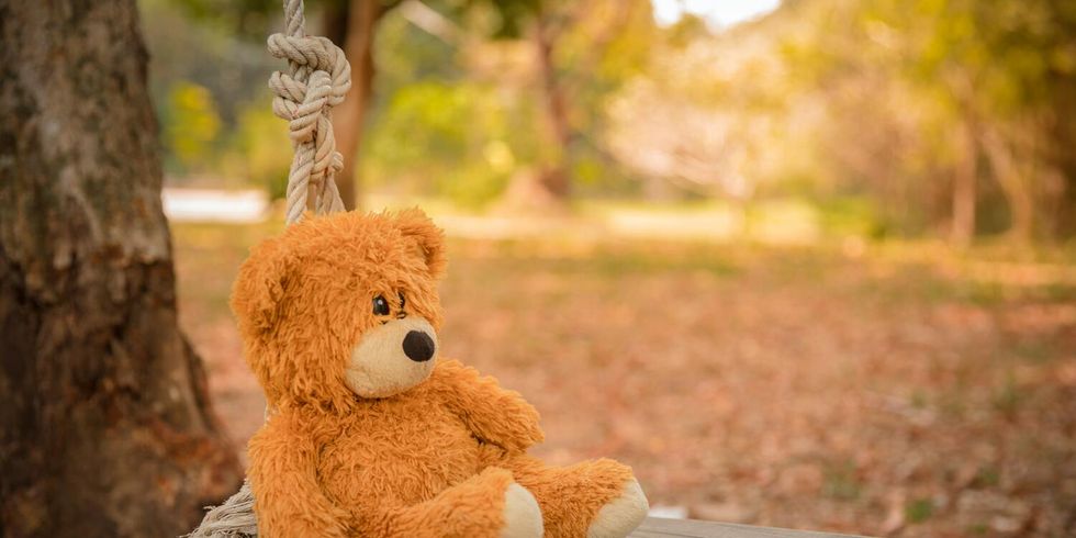 Teddy