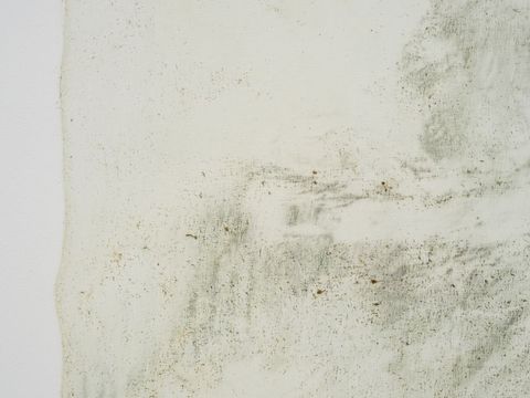 Ausstellungsansicht Routine Ravers, Galerie Parterre 2025