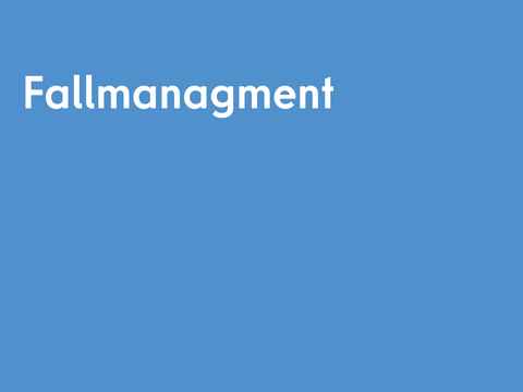 Fallmanagment