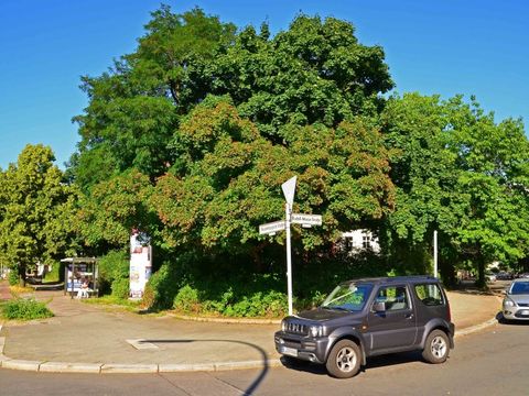 Rudolf-Mosse-Platz, 9.7.2013, Foto: Raimund Müller
