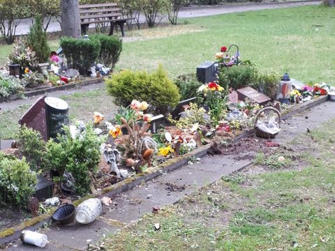 Probleme mit Krähen auf den Friedhöfen