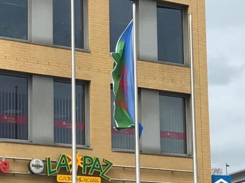 Internationaler Roma-Tag am 8. April 2021 -Fahne