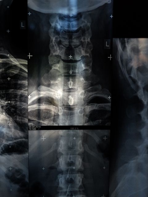 (Bild: ©Maria Petrenko)