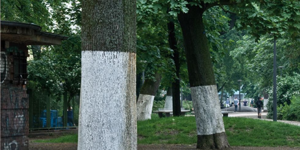 silke-panknin_was-ist-das-eigentlich-fuer-eine-eigenartige-und-verrueckte-geschichte-mit-den-grenzen