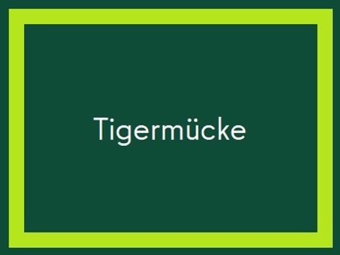 Tigermücke2