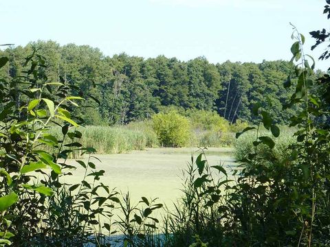 Naturschutzgebiet Bogenseekette und Lietzengrabenniederung, 2013