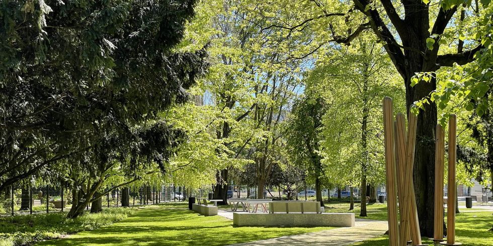 Umgestaltung des Grünzugs an der Ruheplatzstraße