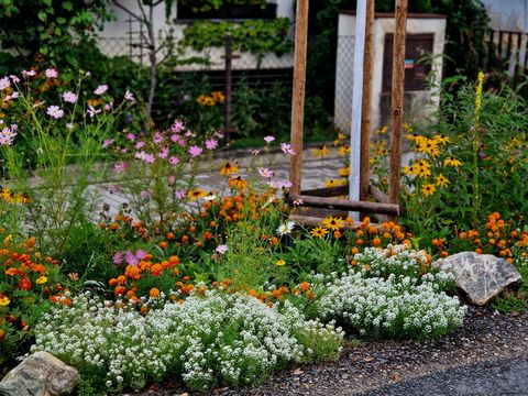 Bewuchs dient als Ersatz für Blumenbeete im Rasen, die im Frühjahr blühen und dann normalerweise gemäht und wie eine Wiese gehalten werden