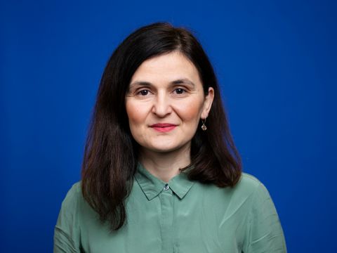 Bezirksamt Berlin EU-Beauftragte