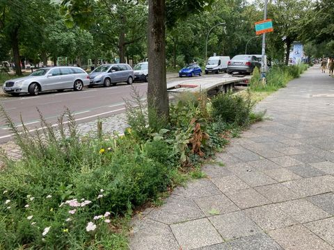 STKAsse 2024