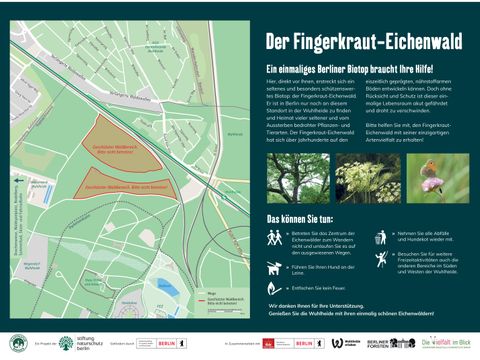 Der Fingerkraut-Eichenwald