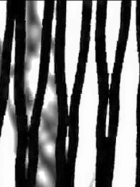 URBAN ACOUSTIC TRIBES with KAIROS QUARTETT, CORNELIA LUND, GILLES AUBRY, CAMILLE BLAKE, ELKE MOLTRECHT