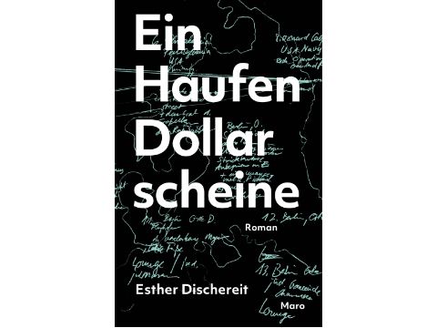 Cover: Esther Dischereit 'Ein Haufen Dollarscheine'