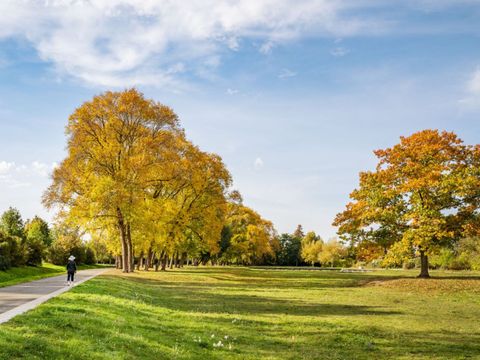 (Bild: VisitSpandau, Dagmar Schwelle)