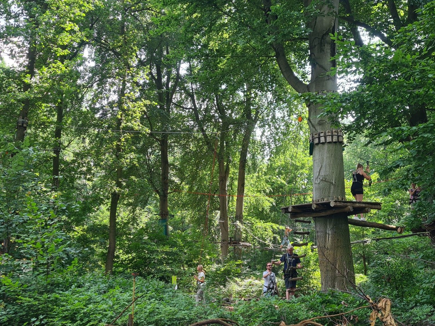 Der Hochseilgarten im Jungfernheide-Park