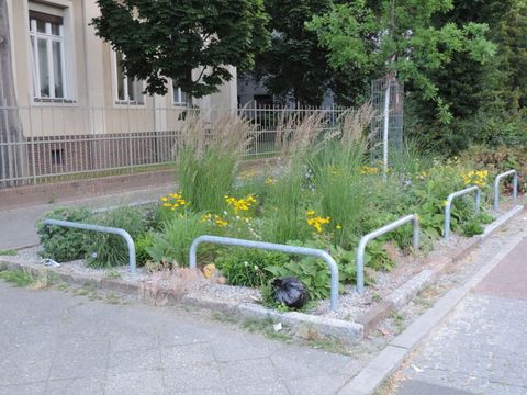 Baumscheibenbeplanzung