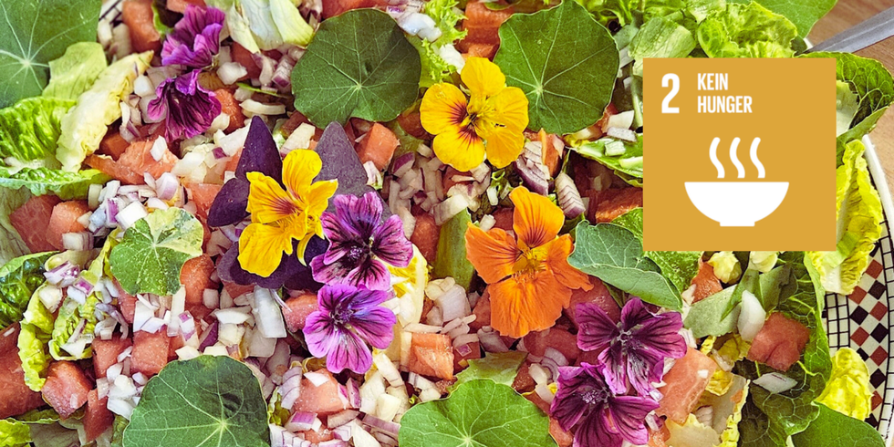Blumensalat SDG 2