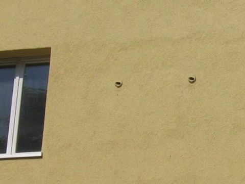 Eingebaute Niststeine